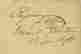 item-102883846=2