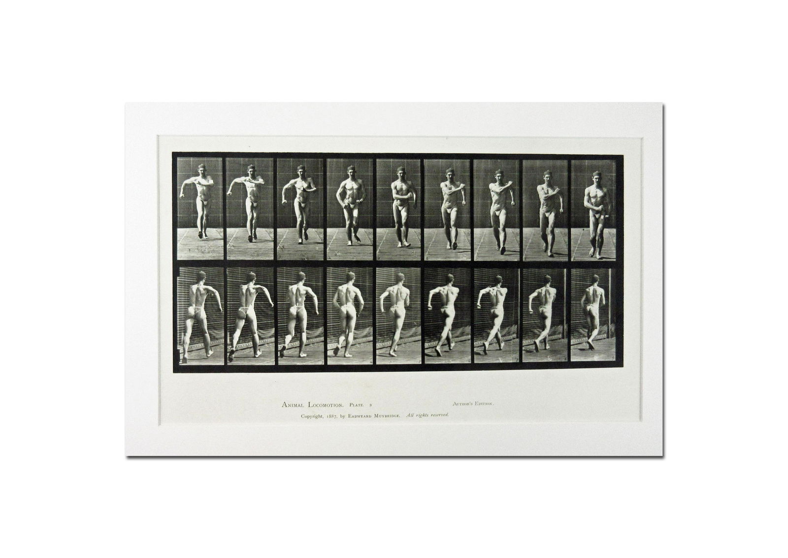 Eadweard Muybridge 1887 Original Collotype "Male Walking" Plate 3: Eadweard Muybridge 1887 Original Collotype "Male Walking" Plate 3 MUYBRIDGE, Eadweard. Original "Author's Edition", Animal Locomotion, Plate 3. "Male Walking", a magnificent sequence of a male nude wa