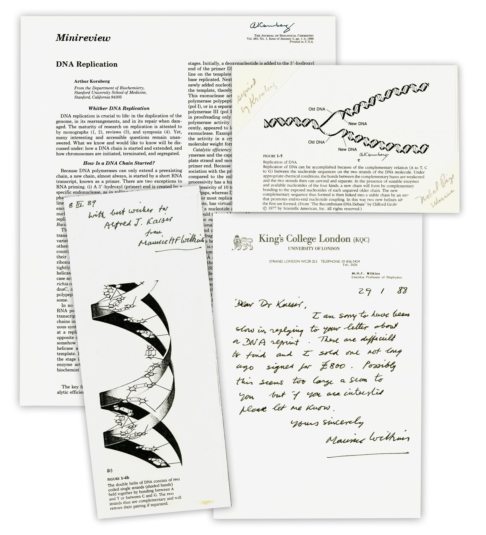 DNA Pioneers Wilkins & Kornberg Signed Archive- ALS, Publications (1 of 4)