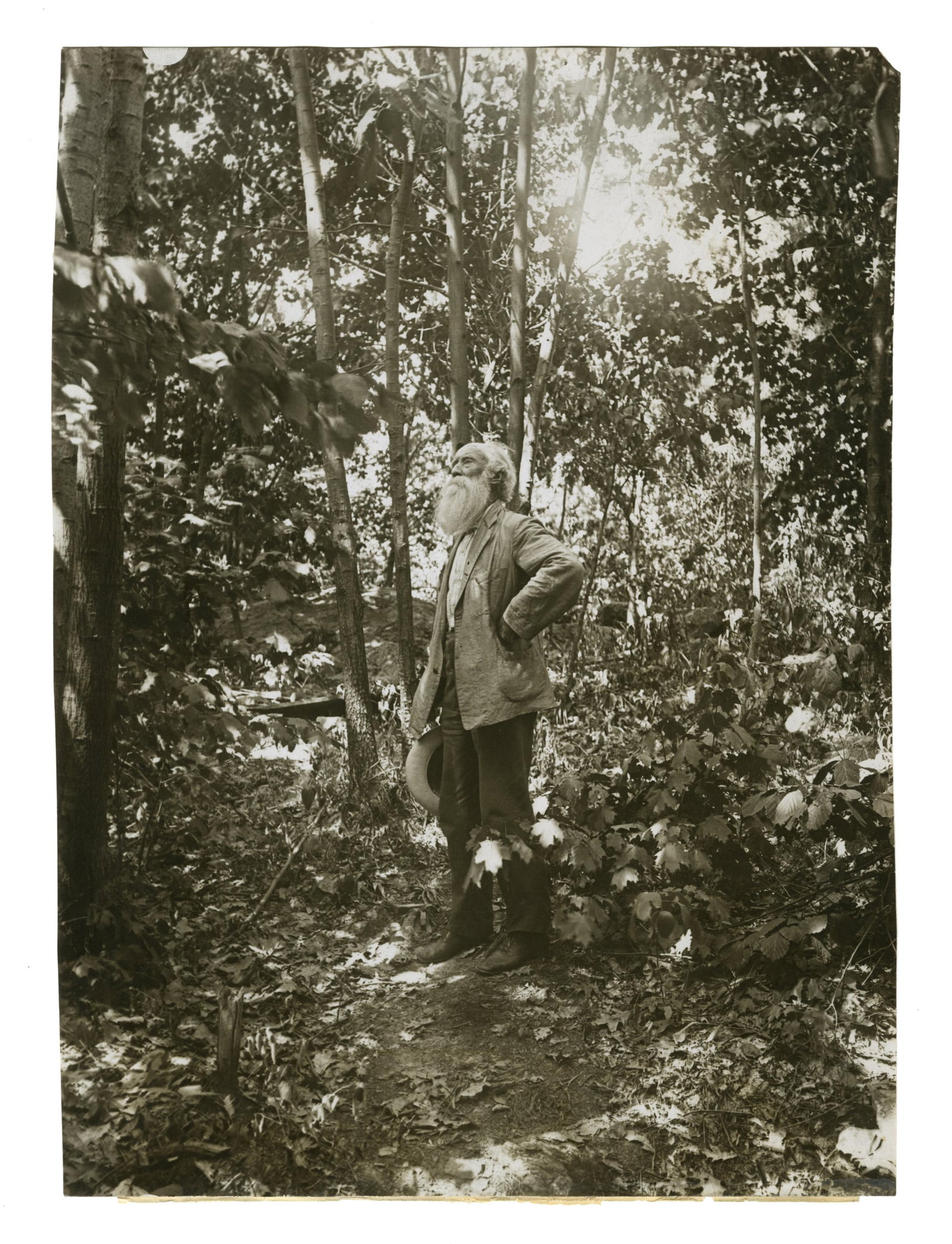 John Burroughs in Nature ca. 1907, Delightful Press Photo (1 of 2)