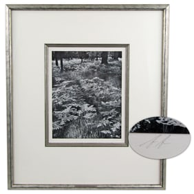 Ansel Adams Signed Special Ed. "Photographs of Yosemite: Ferns, Valley Floor"