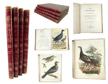 American Ornithology; Or, The Natural History of the Birds of the United States [Four volumes]