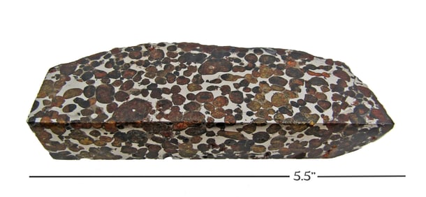 Very Rare Sericho Pallasite Meteorite Monolith, 500+ Grams!