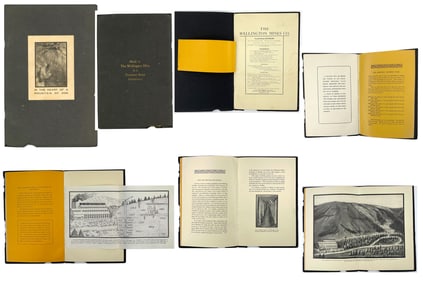 Early 1900s Wellington Mines Prospectus: "biggest and best mine in Summit Co."