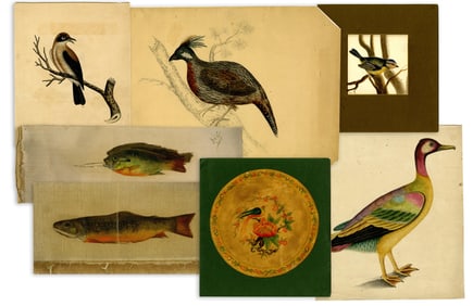 Vintage & Antique Art Lot - Birds & Fish in Oil and Watercolor