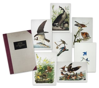 Audubon's Fifty Best (7) Ltd. Ed. Prints from Original Havell Engravings