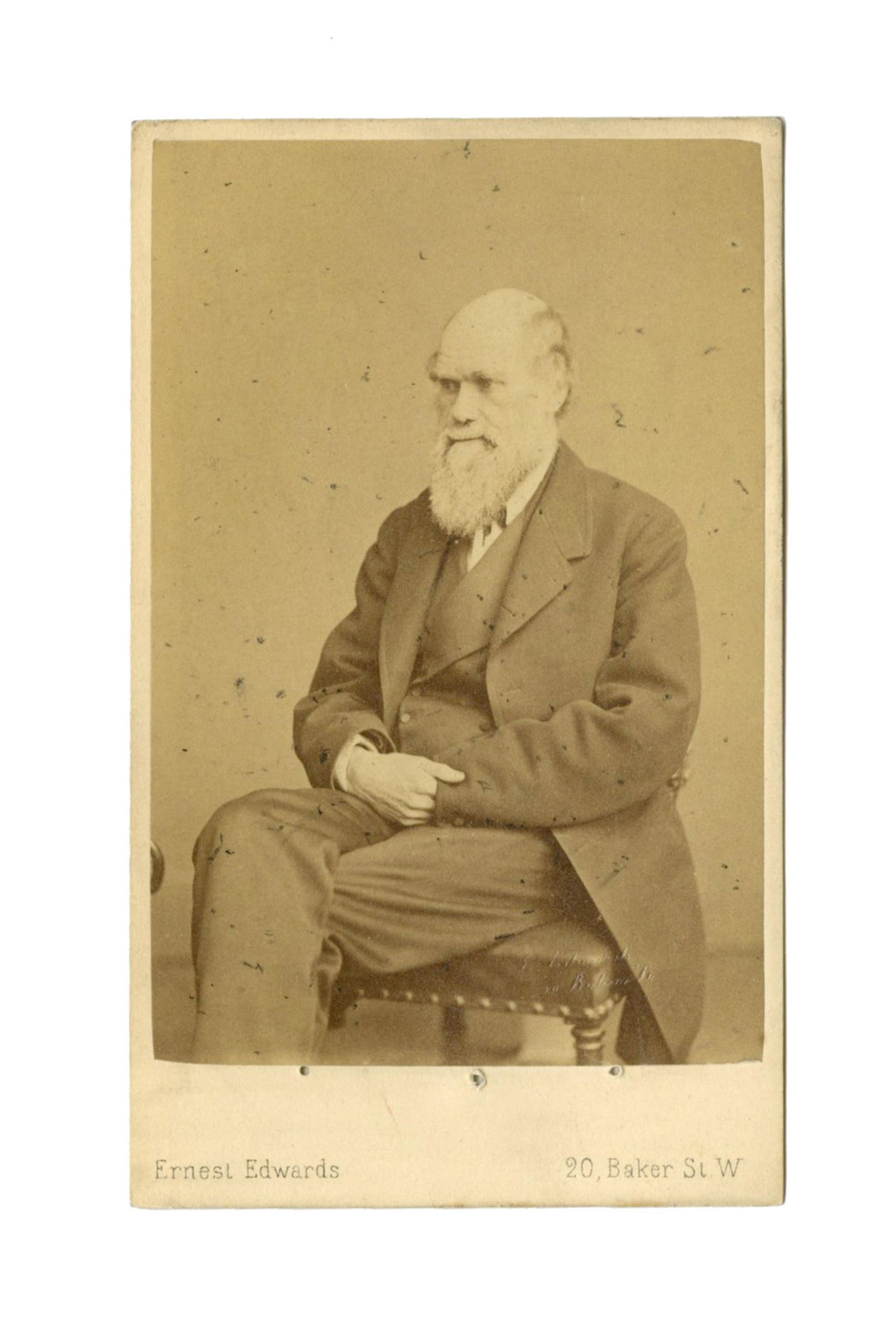 Charles Darwin Seated CDV by E. Edwards, Ex. Karsh Estate: Charles Darwin Dublin, Ireland, n.d. [ca. 1866] Charles Darwin Seated CDV by E. Edwards, Ex. Karsh Estate CDV A carte de visite photograph of Charles Darwin in the mid-1860s, previously retained in