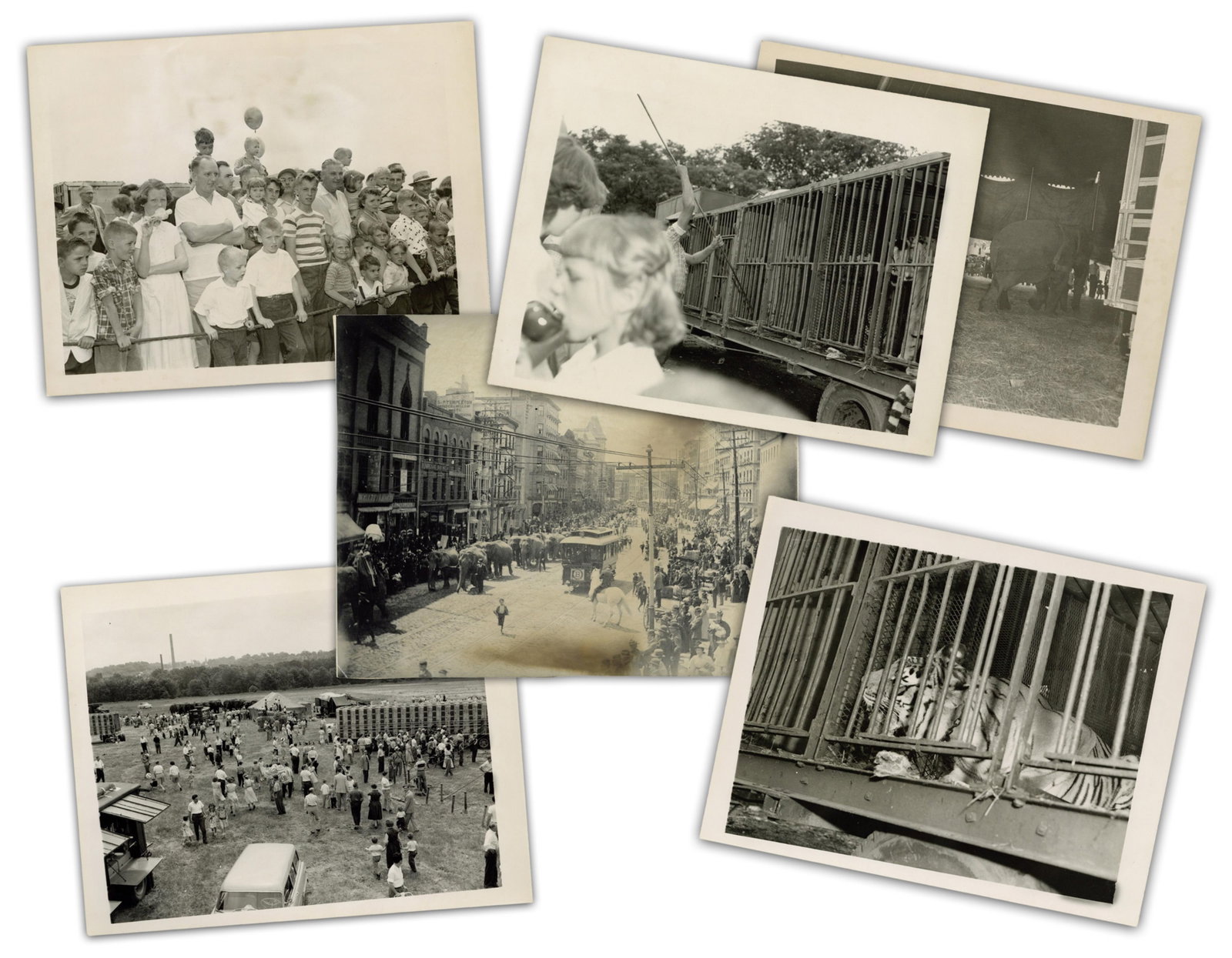 Morris Gerber Collection (6) Vintage Photos Of Albany Circus, Ca. 1910-1960s: 20th C. Photography [Albany, NY], ca. 1910-1960s Morris Gerber Collection (6) Vintage Photos Of Albany Circus, Ca. 1910-1960s Archive A small group of vintage photographs either taken by or preserved 