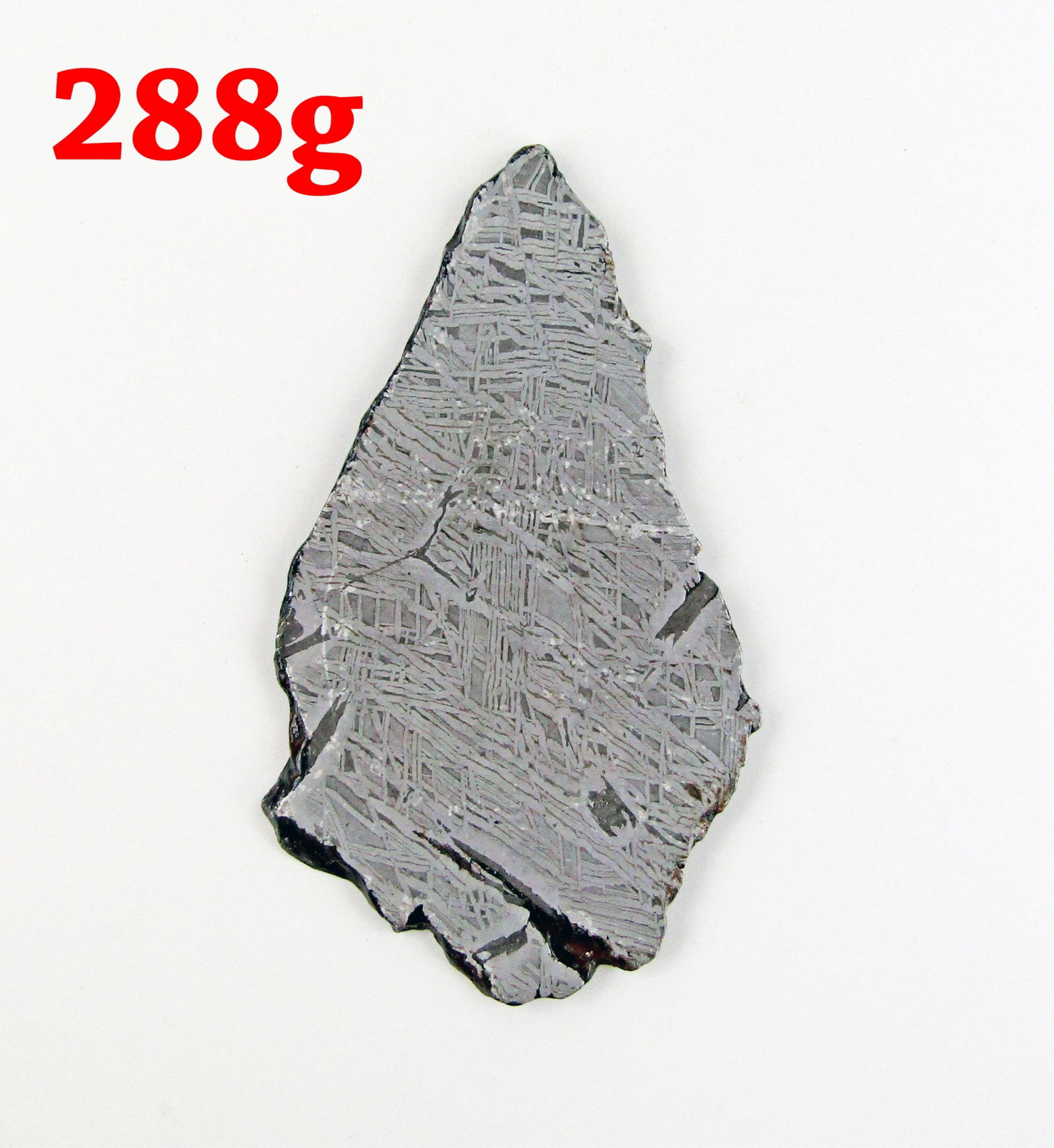 288g Aletai Iron Meteorite Slice, With Space Collective COA (1 of 5)