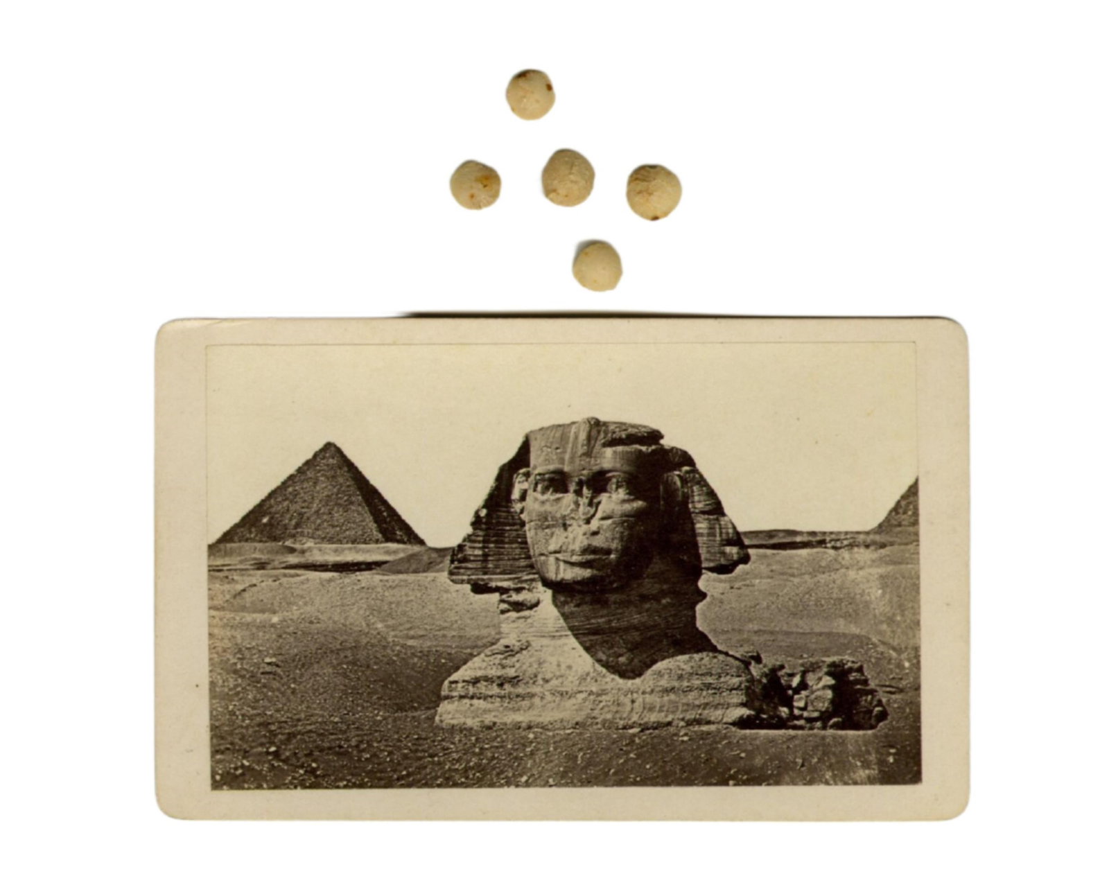 Great Sphinx of Giza CDV & Stone Fragments! (1 of 6)