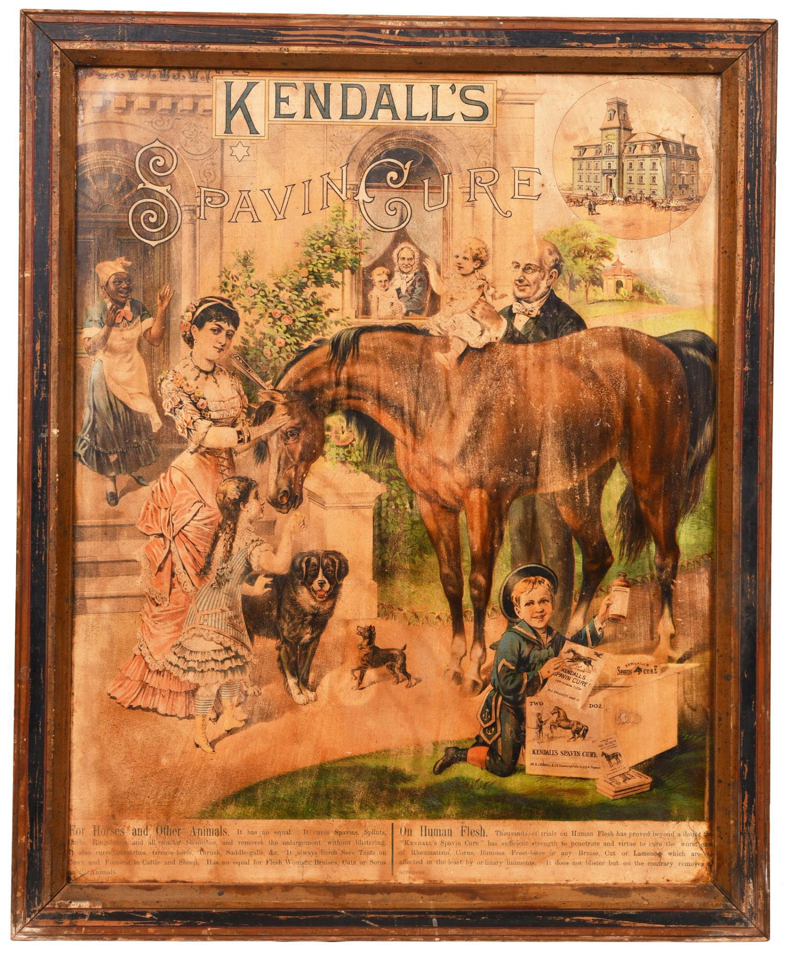 Kendall's Spavin Cure For Animals or Human Print (1 of 1)