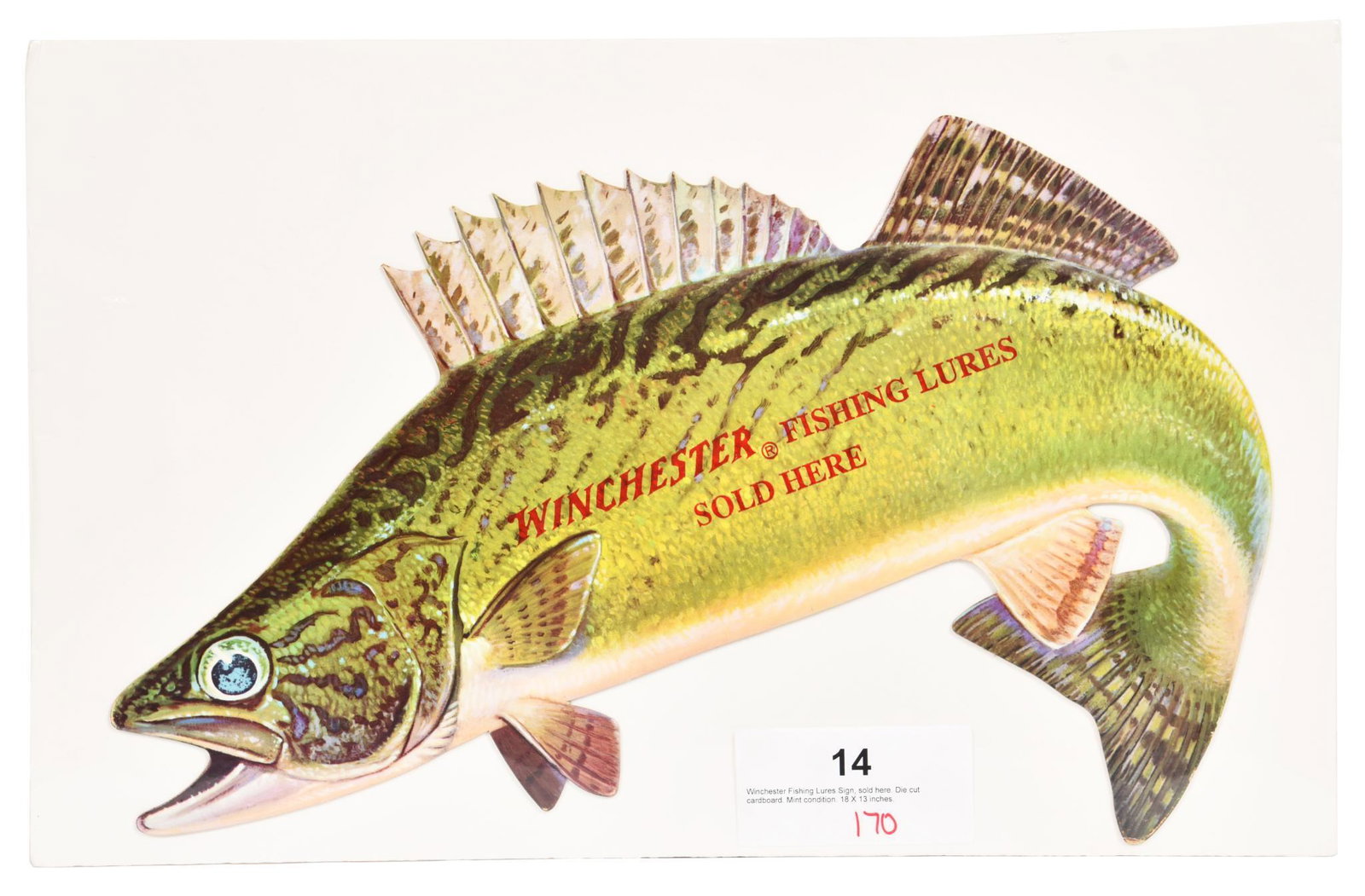 New Old Stock Winchester Fishing Lures Die-cut Sign: The colorful die-cut rendition of a Walleye Pike advertising. Measures 20 x 14 inches. Fine, clean, good strong color, very minor bumps to the finer tips, minor wear at some edges, no damage, stain or