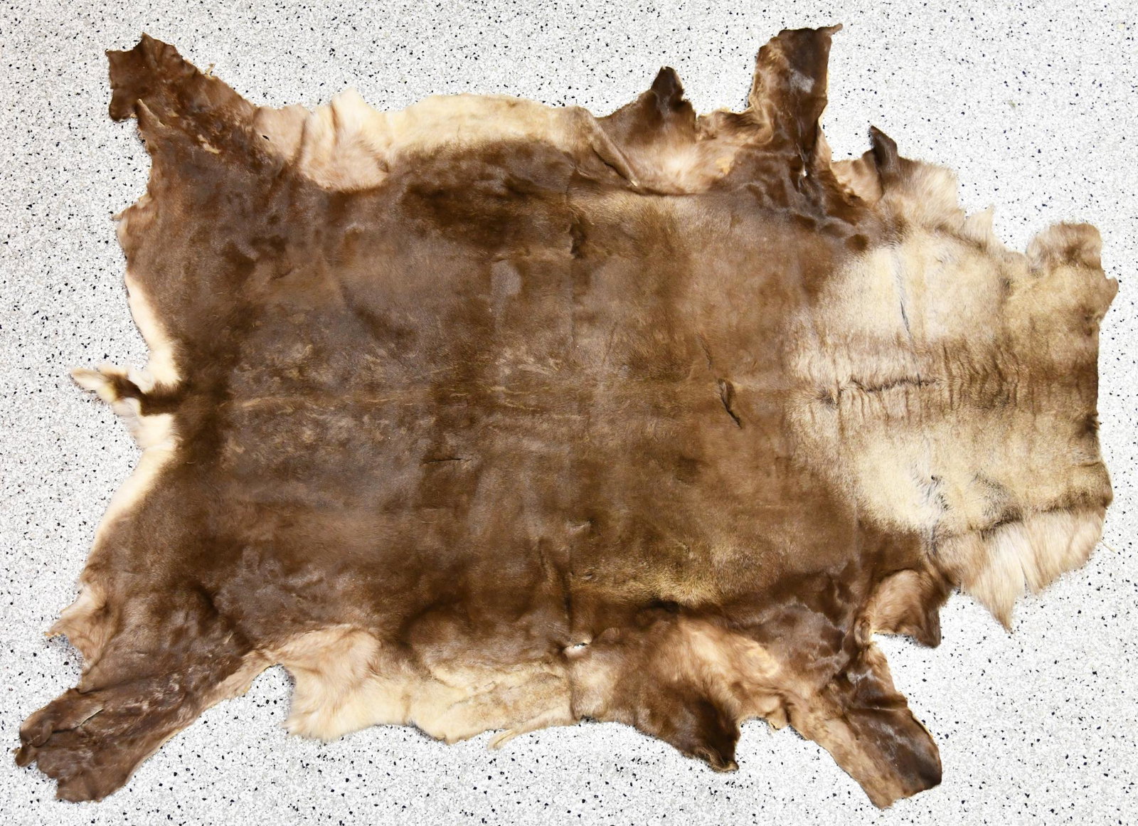 Tanned Animal Hide: This piece is in average condition