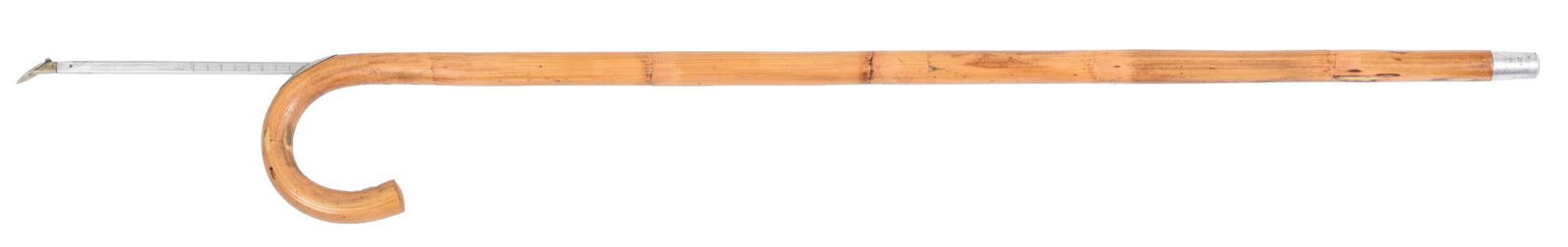 Vintage Horse Measuring Cane (1 of 1)