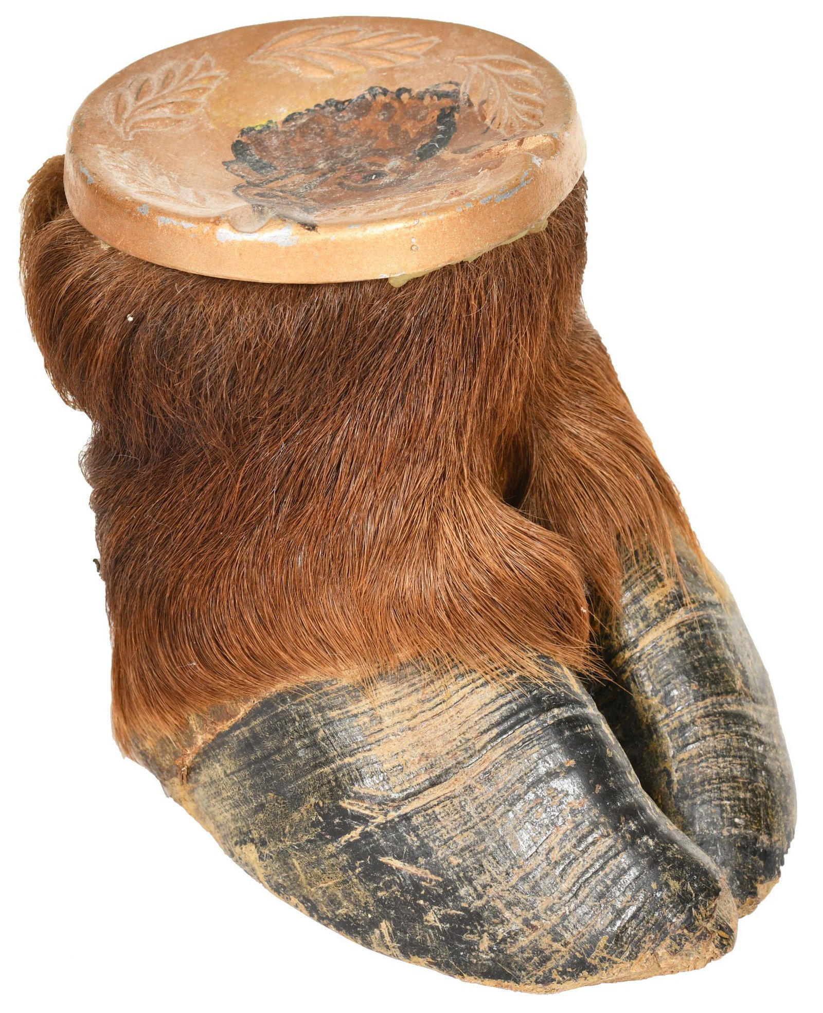 Bison Hoof Ashtray: Vintage Bison hoof ashtray, in good condition.