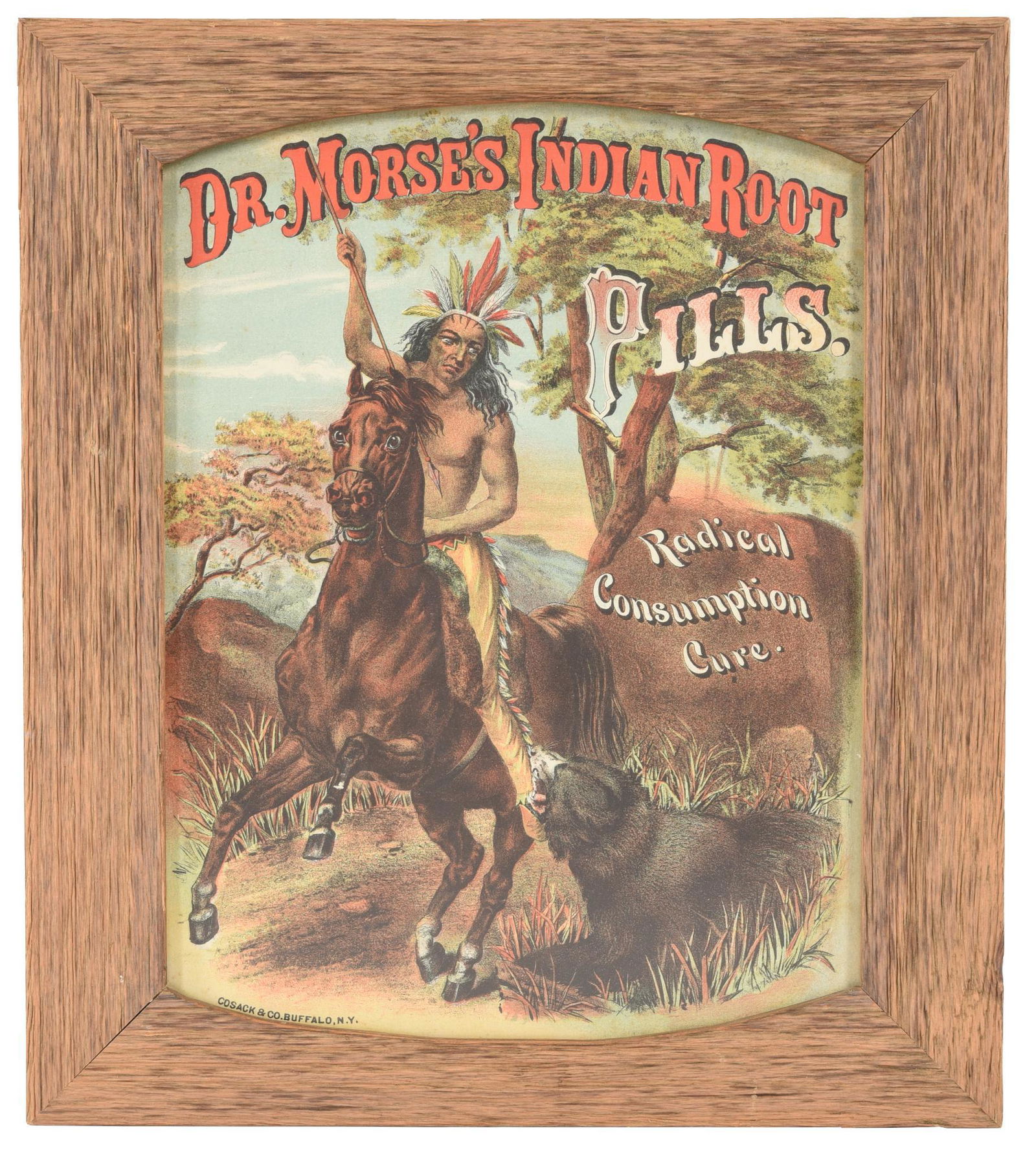 Dr. Morse's Indian Root Pills w/Great Graphics Print (1 of 2)