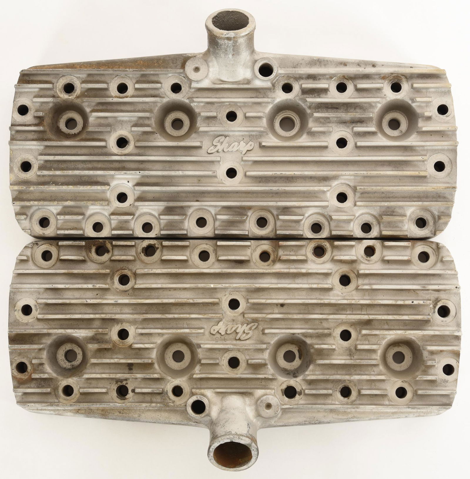 Sharp Finned Heads (1 of 4)