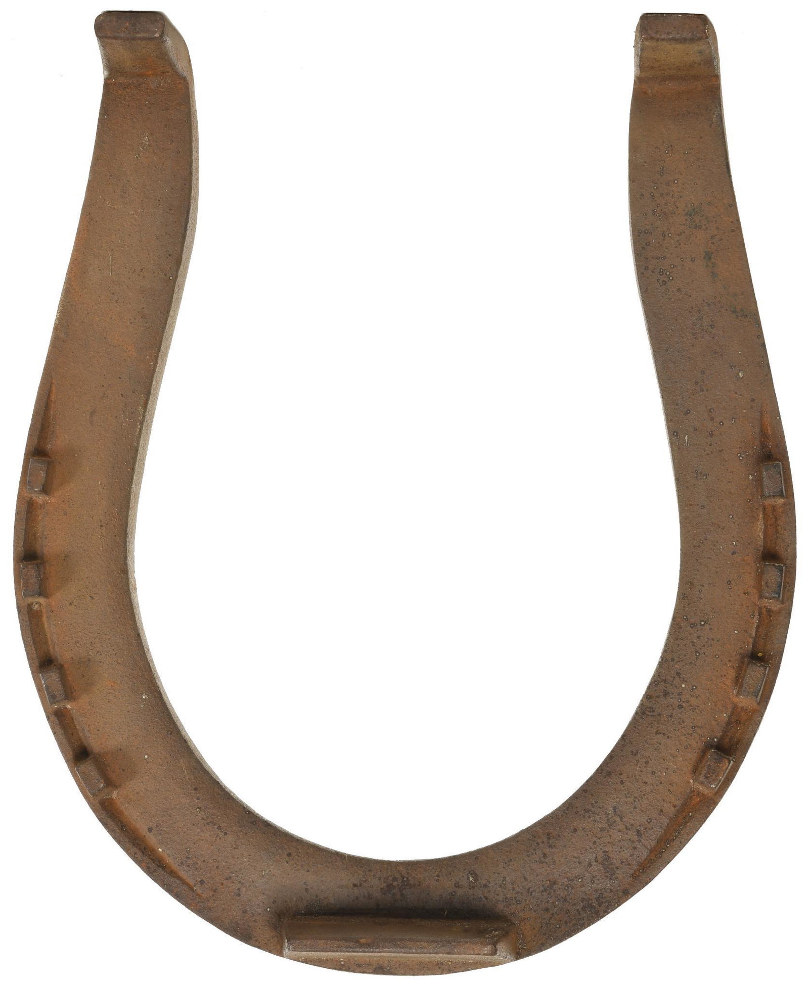 Large Cast Iron Horseshoe (1 of 1)