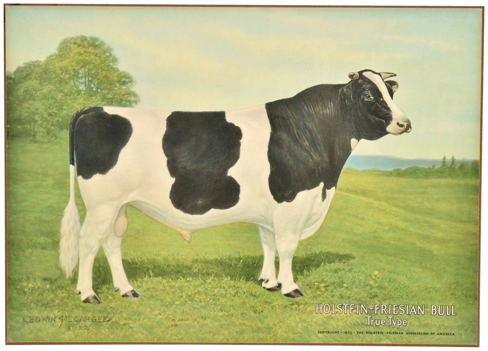 Original Nasco Educational Holstein-Friesian Bull Sign NOS: SS laminate over masonite easel back, in original box, has excellent color and gloss, shows very light wear, has a great look and displays exceptionally well, box is postmarked Aug 18, 67 and shows so