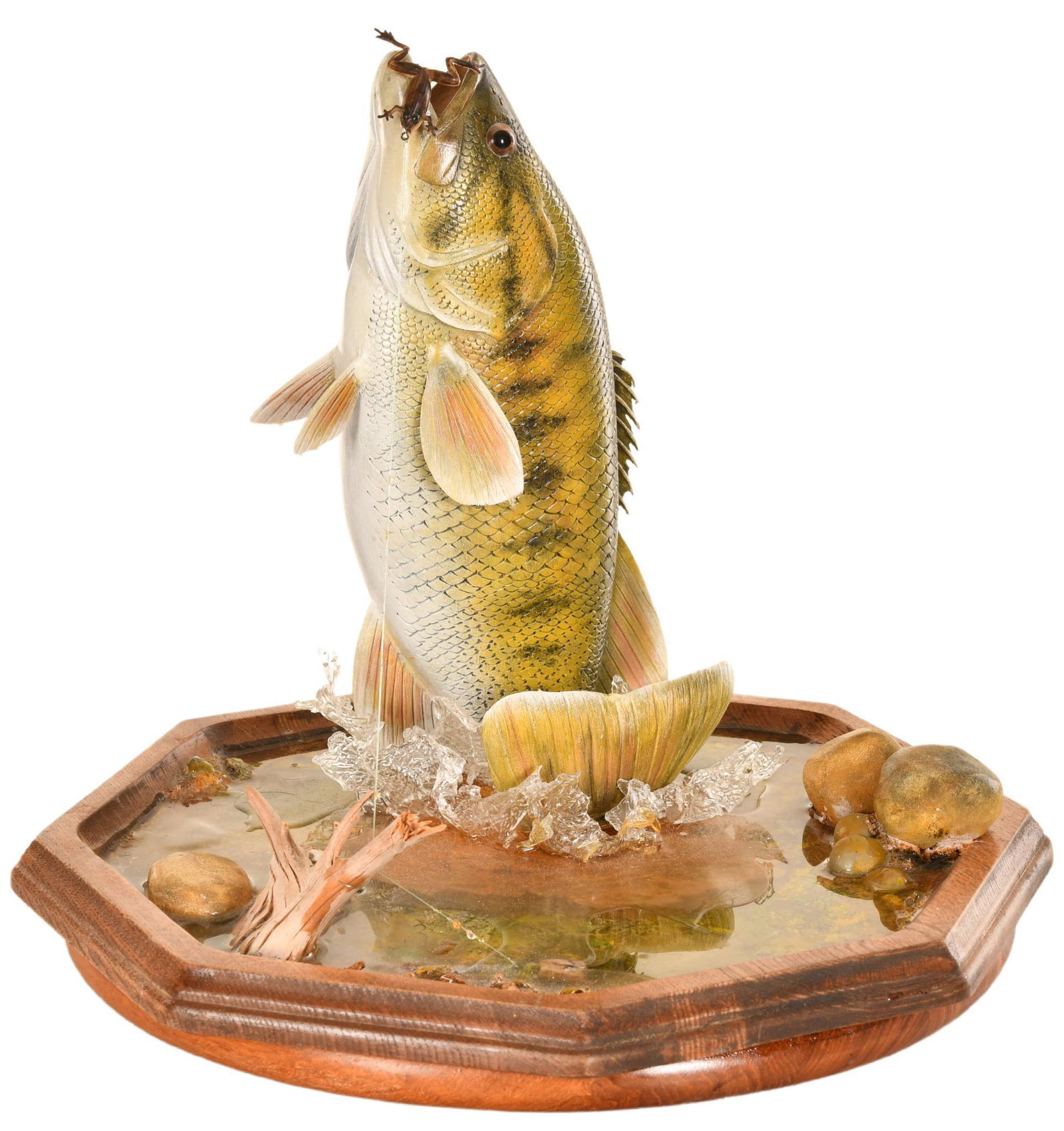 Jumping Large Mouth Bass Display: Marked Dolphin on the bottom with a wet signature of Robert Gregory, has a great look, shows some minor wear, epoxy in the bottom that looks like water, 11"x12", rated 9
