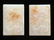 TWO CHINESE WHITE JADE BELT PLAQUES