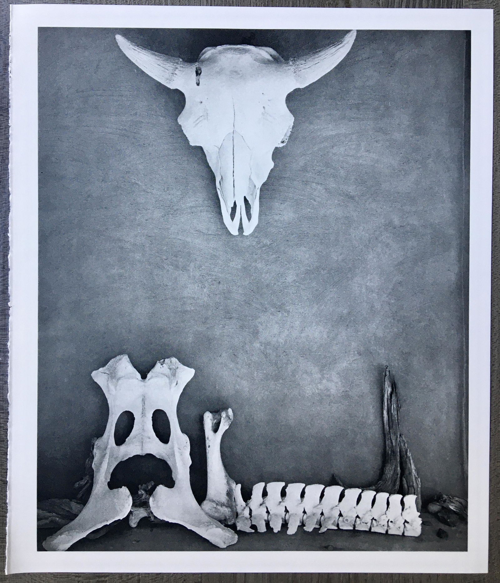 GEORGIA O KEEFFE STUDIO PRINT (1 of 1)