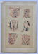 LOT OF 3 ANTIQUE TYPOGRAPHY CHROMOLITHOGRAPHS - 2