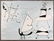 JOAN MIRO ABSTRACT DRAWING ON PAPER