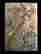 item-107879522=1