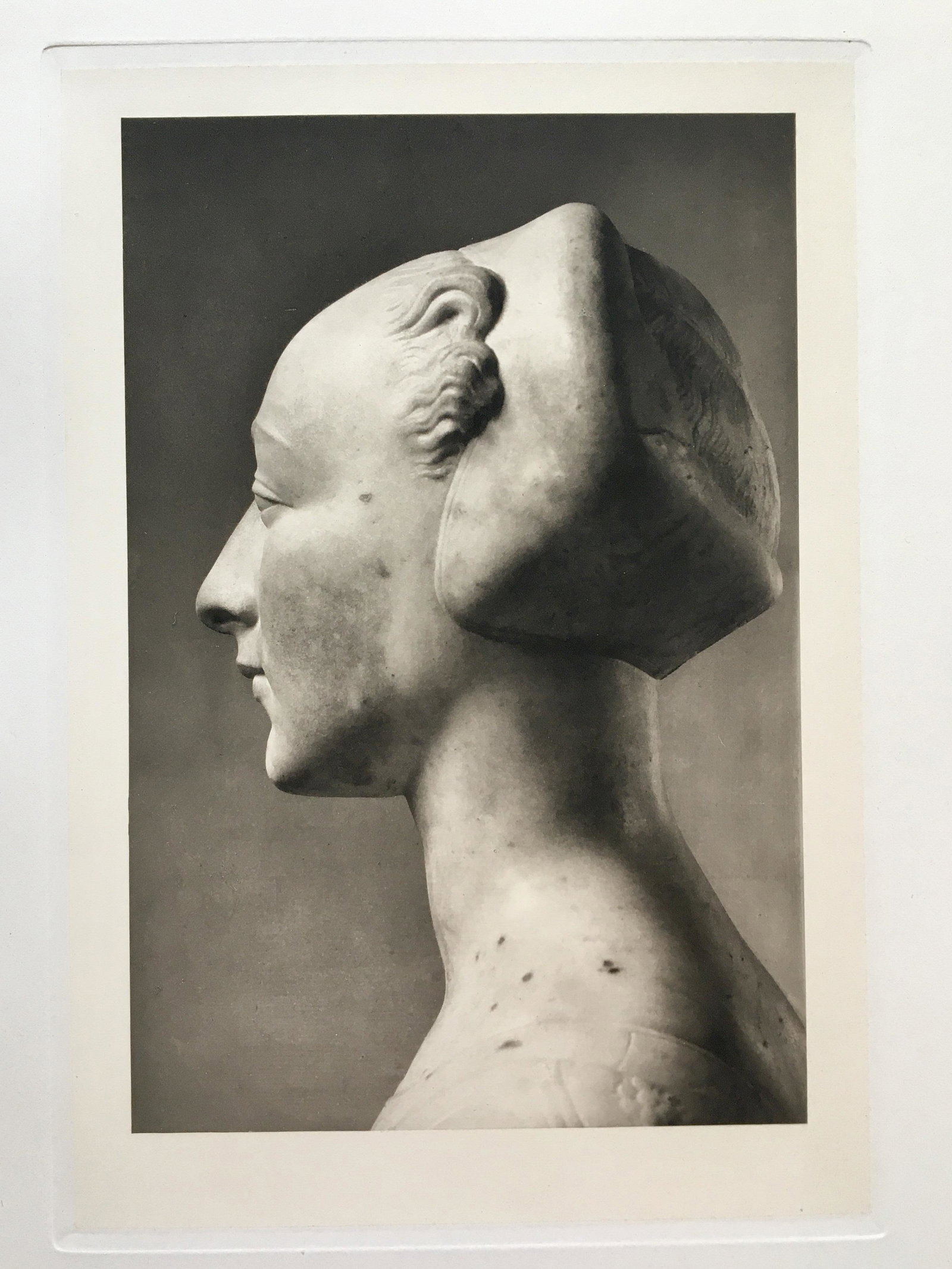 LARGE ETCHING AFTER A RENAISSANCE BUST: Size: 17.5 X 13.5 inches approx. Printed Circa 1920. Unframed.