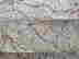 item-121567511=3