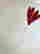 item-127570002=2
