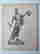 item-127830599=2
