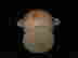 item-129214004=4