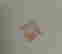 item-129214029=8