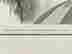 item-131857198=3