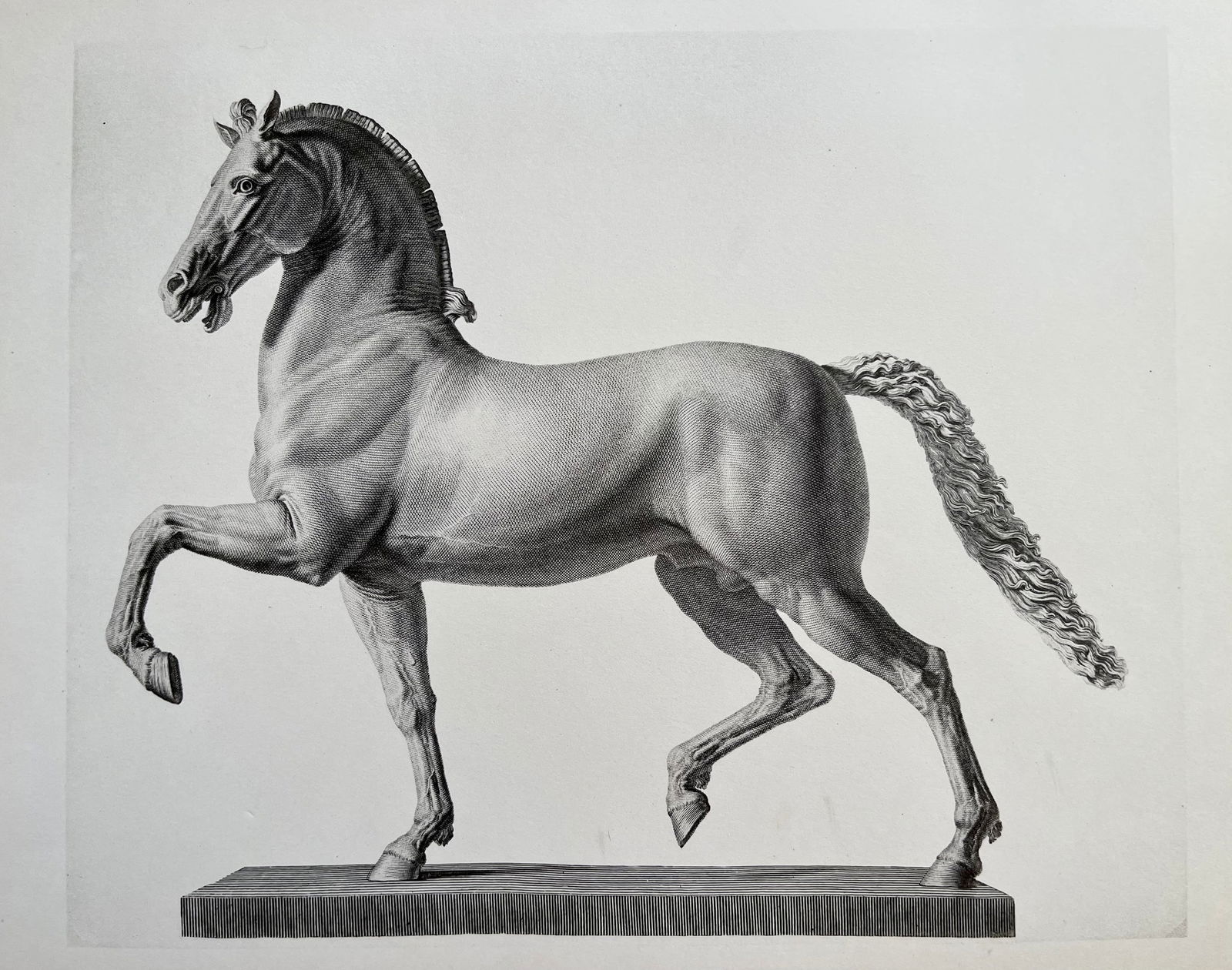 ANTIQUE PRINT AFTER ANTONIO CANOVA COLOSSAL HORSE (1 of 2)