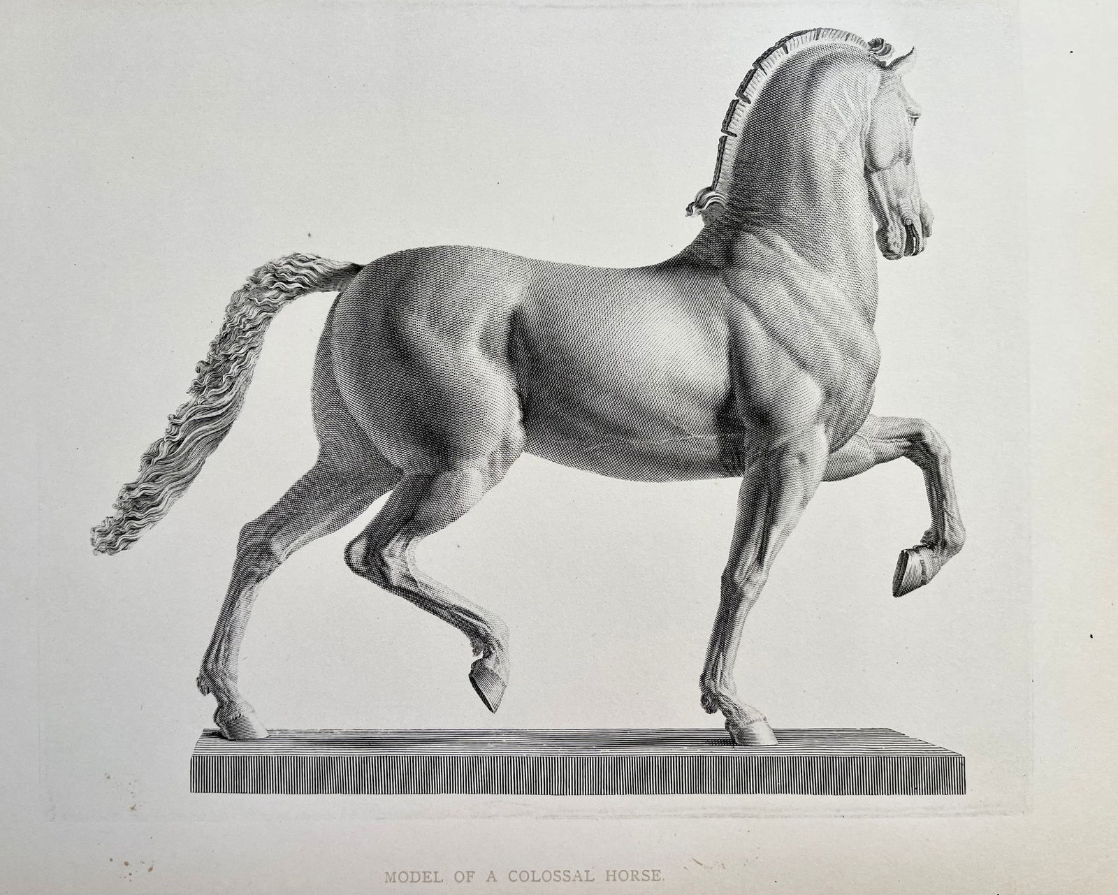 ANTIQUE PRINT AFTER ANTONIO CANOVA COLOSSAL HORSE (1 of 3)