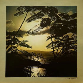 FRITZ HENLE VINTAGE PHOTOGRAVURE