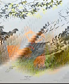 VINTAGE RON JENKINS SIGNED PRINT "BENGAL TIGER"