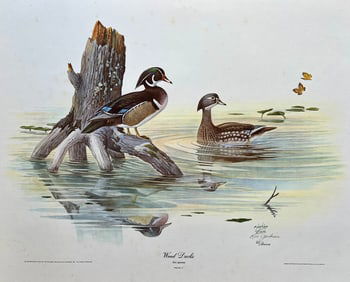 RON JENKINS PENCIL SIGNED LITHOGRAPH WOOD DUCKS