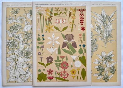 LOT OF 3 ANTIQUE BOTANICAL CHROMOLITHOGRAPHS