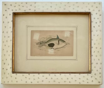 ANTIQUE PRINT ORIENTAL PORT PRASLIN BALISTES