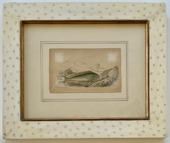 ANTIQUE PRINT ORIENTAL DOLPHIN OF THE ANCIENTS