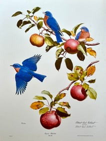 VINTAGE ALBERT EARL GILBERT SIGNED PRINT "EASTERN BLUEBIRDS"