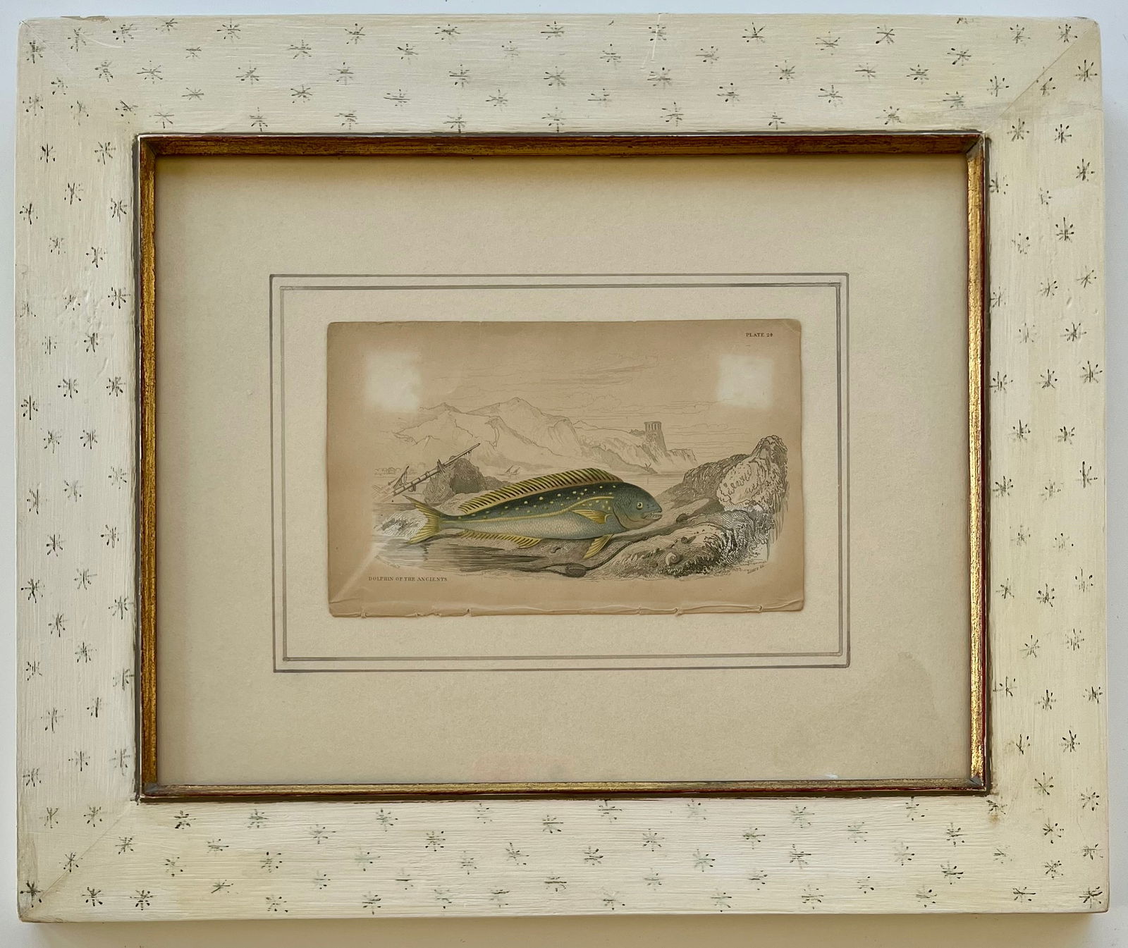 ANTIQUE PRINT ORIENTAL DOLPHIN OF THE ANCIENTS (1 of 6)