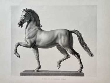 ANTIQUE PRINT AFTER ANTONIO CANOVA "COLOSSAL HORSE"
