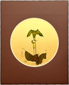 Original Vintage Botanical Watercolor Jack In The Pulpit By Jo Kelly