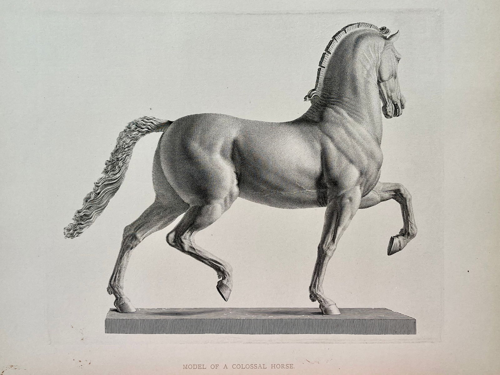 ANTIQUE PRINT AFTER ANTONIO CANOVA COLOSSAL HORSE: NTIQUE PRINT AFTER ANTONIO CANOVA. Print is sold Unframed. Size: 13.5 X 10.5 inches approx. Printed Circa 1876. Age toning, foxing, stains, edge roughness, refer to pictures for details. SHIPPING IN