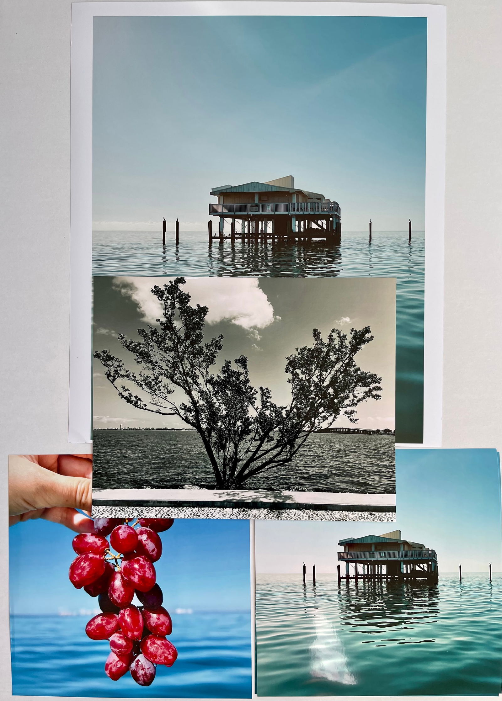 LOT OF 4 MODERN PHOTOGRAPHS GRAPES, TREE, BEACH HOUSE: VARIOUS SIZES. 8X8 IN - 8X10 IN - 11X14 IN. UNFRAMED. SHIPPING IN THE U.S VIA USPS PRIORITY MAIL $15